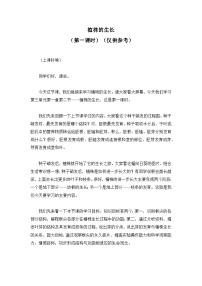 人教版（2024）植株的生长优质第一课时导学案