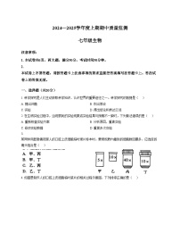 山东省枣庄市滕州市北辛中学2024_2025学年七年级上学期生物期中试卷（文字版，含答案）