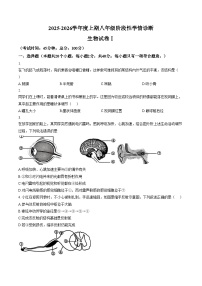 四川省南充市南部县2025_2026学年度上期八年级阶段性学情诊断 生物试卷Ⅰ（文字版，含答案）