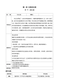 人教版（2024）八年级下册（2024）第一节 无性生殖教案
