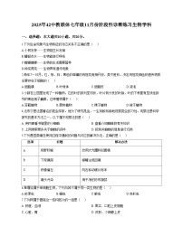 湖北省襄阳市第四十二中学2025_2026学年七年级上学期11月期中生物试题（文字版，含答案）