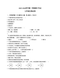 江西省赣州市南康区2025_2026学年七年级上学期期中生物试题（文字版，含答案）