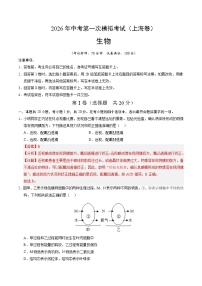 2026年中考模拟生物试卷含答案（上海卷）