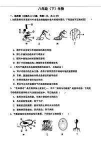 2026年辽宁沈阳市第四十三中学中考模拟生物试卷含答案