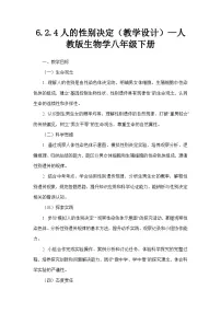 生物人教版（2024）第四节 人的性别决定教案
