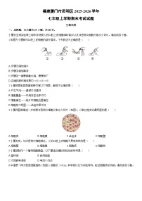 2025-2026学年福建厦门市思明区七年级上学期期末考试生物试卷（学生版）