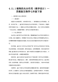 生物植物的光合作用教案