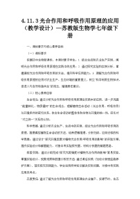 苏教版（2024）七年级下册（2024）第3节 光合作用和呼吸作用教案