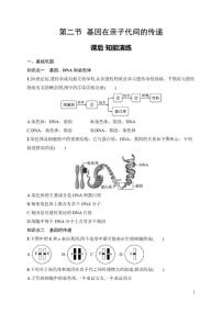 人教版（2024）八年级下册（2024）第二节 基因在亲子代间的传递练习题