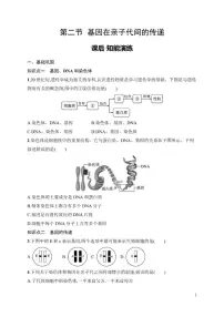 人教版（2024）八年级下册（2024）第二节 基因在亲子代间的传递练习题