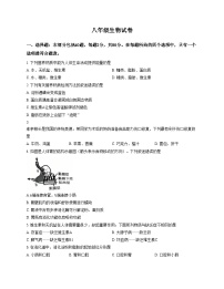 江苏省宿迁市泗洪县2025_2026学年八年级上学期期中考试生物试卷（文字版，含答案）