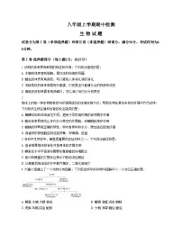 山东省泰安市新泰市2025_2026学年八年级上学期11月期中考试生物试题（文字版，含答案）