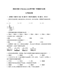 甘肃省酒泉市第六片区2024_2025学年七年级上学期期中考试生物试卷（含答案）