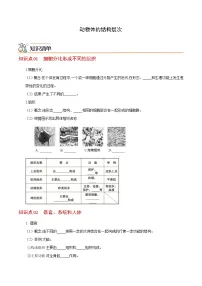 七年级上学期生物考点突然与提分——动物体的结构层次练习题（含答案）