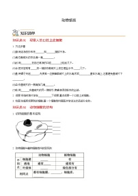 七年级上学期生物考点突然与提分——动物细胞练习题（含答案）