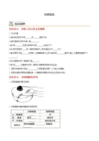七年级上学期生物考点突然与提分——动物细胞练习题（含答案）