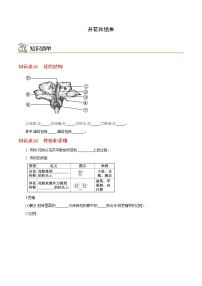 七年级上学期生物考点突然与提分——开花和结果练习题（含答案）