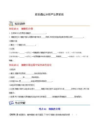 七年级上学期生物考点突然与提分——细胞通过分裂产生新细胞练习题（含答案）