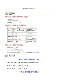 七年级上学期生物考点突然与提分——植物体的结构层次练习题（含答案）