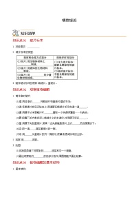 七年级上学期生物考点突然与提分——植物细胞练习题（含答案）