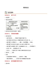 七年级上学期生物考点突然与提分——植物细胞练习题（含答案）