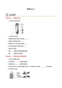 七年级上学期生物考点突然与提分——植株的生长练习题（含答案）