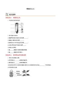 七年级上学期生物考点突然与提分——植株的生长练习题（含答案）