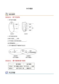 七年级上学期生物考点突然与提分——种子植物练习题（含答案）