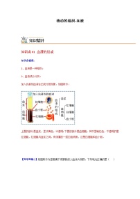七年级下学期生物考点突然与提分——流动的组织练习题（含答案）