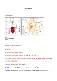七年级下学期生物考点突然与提分——消化和吸收练习题（含答案 ）