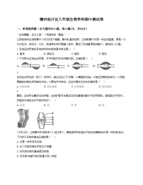 江西省赣州市经开区2025_2026学年八年级上学期期中考试生物试题（文字版，含答案）