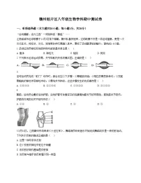 江西省赣州市经开区2025_2026学年八年级上学期期中考试生物试题（文字版，含答案）