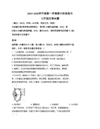 山东省济宁市汶上县2025_2026学年七年级上学期期中考试生物试题（文字版，含答案）