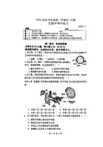 北京理工大学附属中学2025-2026学年八年级上学期11月期中考试生物试题（无答案）