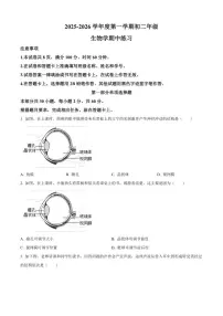 北京市北京理工大学附属中学2025-2026学年八年级上学期期中生物学试题（含答案）