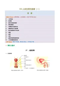 04 人体生理与健康（一）-2026年中考生物知识盘点与通关测试