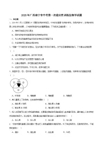 广西壮族自治区南宁市2025届九年级下学期中考第一次适应性训练生物试卷（含答案）