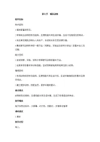 人教版 (新课标)八年级上册第七节 哺乳动物教案设计