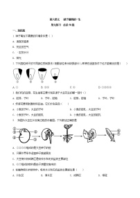 人教版 (新课标)七年级上册第二章 被子植物的一生综合与测试精练