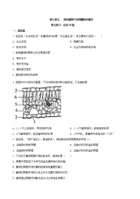 初中生物人教版 (新课标)七年级上册第三章 绿色植物与生物圈的水循环课时作业