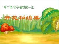 初中生物人教版 (新课标)七年级上册第三单元 生物圈中的绿色植物第二章 被子植物的一生第三节 开花和结果教学演示课件ppt