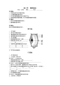 初中生物人教版 (新课标)七年级上册第二节 植物细胞导学案