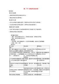 人教版 (新课标)八年级下册第二节 生物进化的历程教学设计