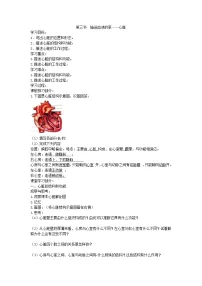 人教版 (新课标)七年级下册第三节 输送血液的泵──心脏优秀学案
