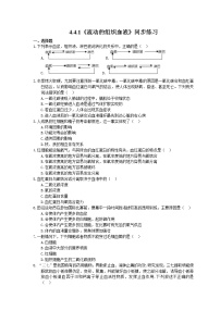 生物七年级下册第四单元 生物圈中的人第四章 人体内物质的运输第一节 流动的组织──血液精品巩固练习