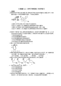 人教版 (新课标)七年级上册第三单元 生物圈中的绿色植物第二章 被子植物的一生第一节 种子的萌发优秀同步测试题