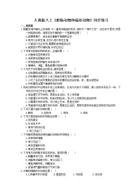初中生物人教版 (新课标)八年级上册第一节   腔肠动物和扁形动物优秀课时练习