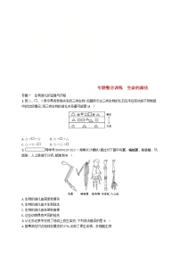 生物八年级下册第22章  物种的多样性综合与测试随堂练习题