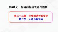 2020-2021学年第8单元 生物的生殖、发育与遗传第二十二章 生物的遗传和变异第三节 人的性别决定优质课件ppt