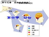 初中生物北京版八年级下册第六节 动物教学演示ppt课件